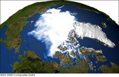 Arctic_ice2003.jpg